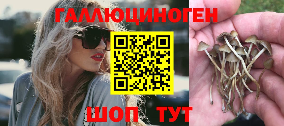 Псилоцибиновые грибы MAGIC MUSHROOMS Тутаев